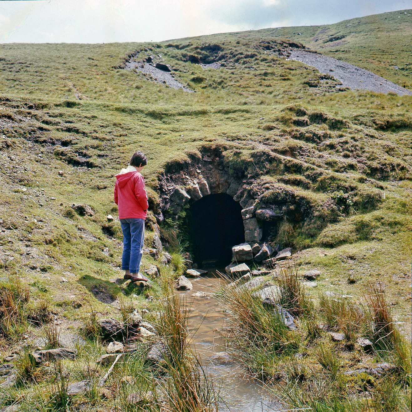 Portal Gillfield Level